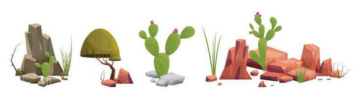 Desert rock with plants in different colors vector illustration isolated on white