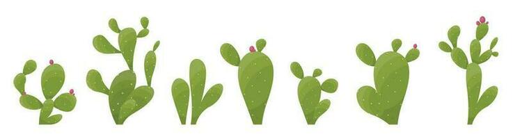 Cartoon desert cactus plants isolated on white. Desert plants vector illustration