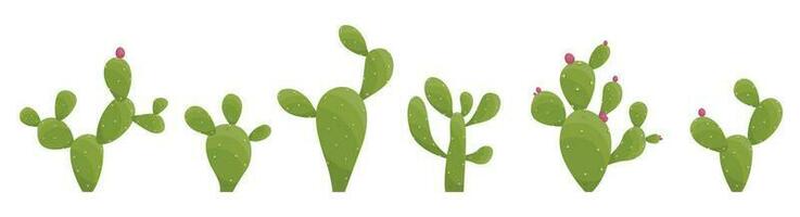 Cartoon desert cactus plants isolated on white. Desert plants vector illustration