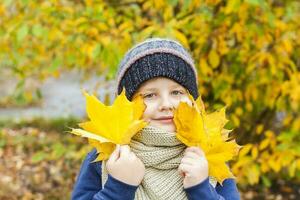 Autumn mood. A boy holds yellow maple leaves in his hands. Autumn portrait of a child in a knitted hat. Sight. Cute smiling boy photo