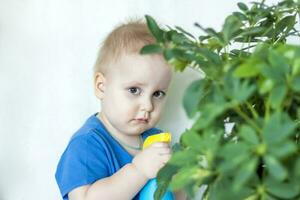 The child helps to take care of indoor plants. The boy sprays on the leaves with a bullet gun. Care of plants. photo