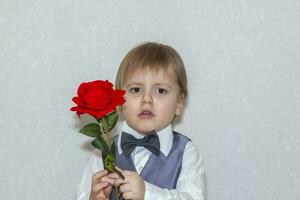 A little boy holds and hands over a red rose, the concept of the Valentine's Day theme. Portrait of a cute boy in a suit with a bow tie. photo