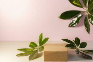 Wooden square stand on a light shadow background. An empty storefront without a brand. A showcase for cosmetics. Product advertising. Copy space. photo