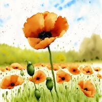 Summer concept. Beautiful watercolor Poppies. A radiant Poppies. Natures Beauty. photo