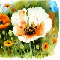 Summer concept. Beautiful watercolor Poppies. A radiant Poppies. Natures Beauty. photo