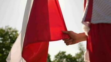 polaco fútbol ventilador con rojo y blanco nacional bandera de Polonia. lento movimiento imágenes video