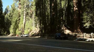 November 24, 2017. Park Visitors Cars on the Sequoia National Park Parking Area. California Sierra Nevada Mountain. United States of America. video