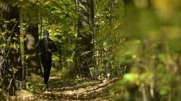 corriendo caucásico hombres en el bosque. escénico otoño bosque camino. lento movimiento. video