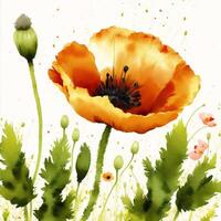 Summer concept. Beautiful watercolor Poppies. A radiant Poppies. Natures Beauty. photo