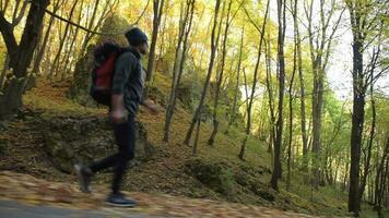 caminante con mochila en un sendero en el bosque. escénico otoño follaje. video