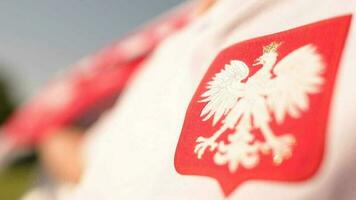 polaco nacional símbolo. blanco águila en el fútbol jugador camiseta. video
