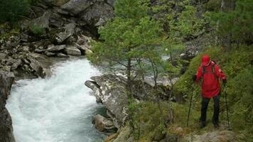 River Trailhead. Caucasian Backpacker Nordic Walking Along the Scenic River Shore. video