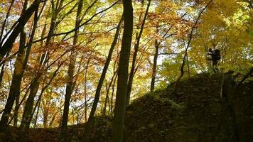 schleppend Bewegung Aufnahmen von Backpacker auf das Felsen Formation genießen fallen Blätter während Herbst Laub. video