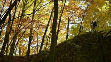 Slow Motion Footage of Backpacker on the Rock Formation Enjoying Falling Leaves During Autumn Foliage. video