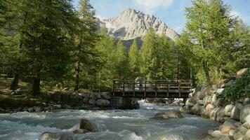 toerist Aan de houten brug in vel fret vallei gedurende zonnig zomer dag video