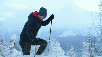 caucasien Hommes pendant nordique en marchant une randonnée dans lourd neige. video