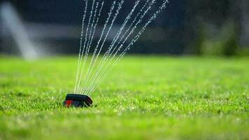 automatisk sprinkler för gräs fält. arbetssätt trädgårdsmästare i de först planen video