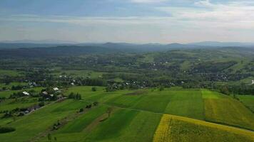 aéreo Visão do sem fim terras agrícolas e lindo campo com amarelo e verde Campos e prados dentro rural área. video