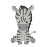 Cute zebra in cartoon style. Vector baby animal isolated on white background.