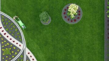 Rasen und bunt Garten Landschaft Design. video