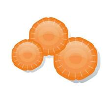 carrot slices isolated vector illustration