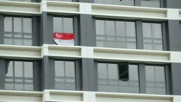 banderas de singapur para la celebración del día nacional en los edificios video