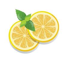Fresh sliced lemon fruits isolated vector illustration
