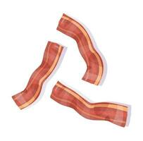 bacon fried isolated vector illustration