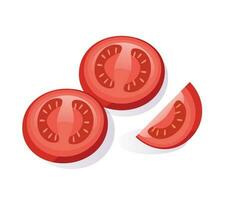 fresh slice of tomato vector illustration