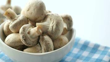 Fresh champignons mushroom in a white bowl on table , video
