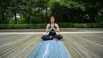 jung Frauen üben Yoga im Park video
