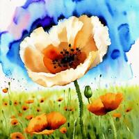 Summer concept. Beautiful watercolor Poppies. A radiant Poppies. Natures Beauty. photo