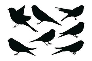 Wild swallows bird flying, silhouettes on a white background. Swallows full body silhouette collection. Beautiful birds sitting and flying in different positions. Wild swallows bird silhouette bundle. vector