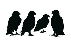 Wild hawks sitting silhouette set on a white background. Carnivore wild hawk silhouette bundle design. Predator falcon sitting in different positions. Hawk full body silhouette collection. vector