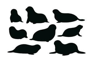 linda focas silueta haz diseño. salvaje mar leones sentado en diferente posiciones. focas lleno cuerpo silueta recopilación. grande mar criaturas y mar leones sesión, siluetas en un blanco antecedentes. vector