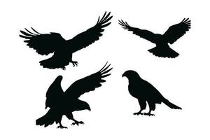 Wild Hawk vector design on a white background. Hawks flying silhouette bundle design. Wild Falcon flying silhouette set vector. Big predator bird flying in different positions silhouette collection.