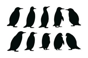 Cute penguin standing silhouette set on a white background. Wild flightless bird silhouette bundle design. Herbivorous penguins standing in different positions. Penguin full body silhouette collection vector