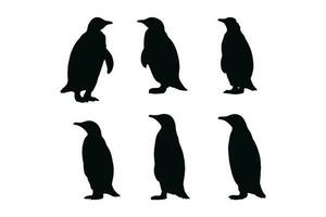 Wild flightless bird silhouette bundle design. Cute penguin standing silhouette set on a white background. Herbivorous penguins standing in different positions. Penguin full body silhouette collection vector