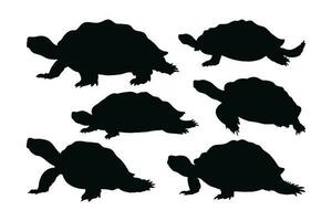 Sea creatures and reptiles like turtles walking in different positions. Wild turtle standing, silhouettes on a white background. Tortoise full body silhouette collection. Wild turtle silhouette bundle vector