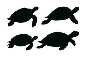 Cute turtle walking and swimming silhouette bundle design. Turtle in different positions silhouette collection. Sea creature vector on a white background. Tortoise standing silhouette set vector.