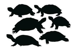 salvaje Tortuga de pie, siluetas en un blanco antecedentes. mar criaturas y reptiles caminando en diferente posiciones. tortuga lleno cuerpo silueta recopilación. salvaje Tortuga silueta manojo. vector