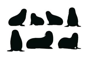 Big sea lion silhouette bundle design. Wild sea lions sitting in different positions. Seals full body silhouette collection. Big sea creatures and sea lions sitting, silhouettes on a white background. vector