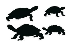 Turtle silhouette bundle. Wild turtle standing and walking in different positions. Sea creatures and reptiles like turtles, silhouettes on a white background. Tortoise full body silhouette collection. vector