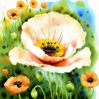 Summer concept. Beautiful watercolor Poppies. A radiant Poppies. Natures Beauty. photo