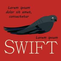 Poster, banner with swift bird and text. Poster layout design. vector