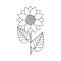 Sunflower flower. Ukrainian symbols. vector