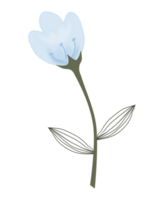 mooi blauw tekening bloem PNG illustratie.