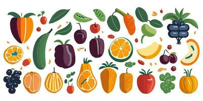 delicioso y exótico frutas ilustrado en maravilloso vector Arte