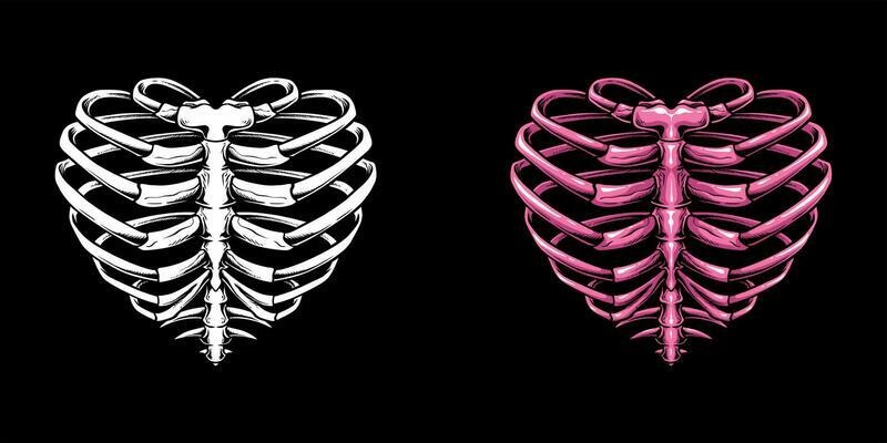 rib cage skeleton with a love heart shape, a one of a kind illustration that will captivate and inspire. Bold combines the edgy and alternative feel of a skeleton with the timeless symbol of love