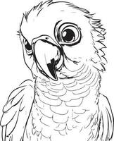 Parrot bird illustration, cute parrot coloring page for kids and adult, parrot mascot logo, parrot bird vector design